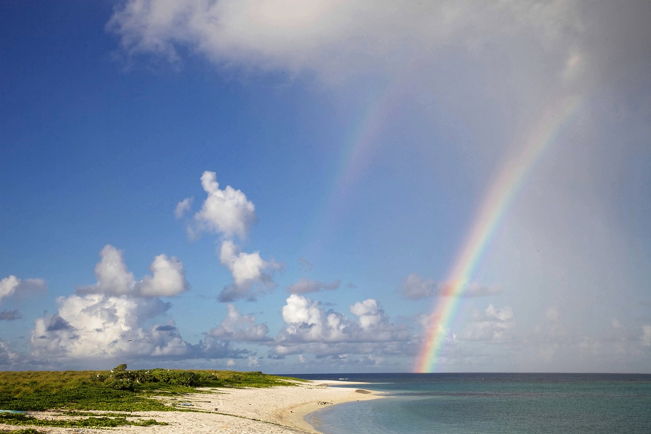 Reading Rainbow
