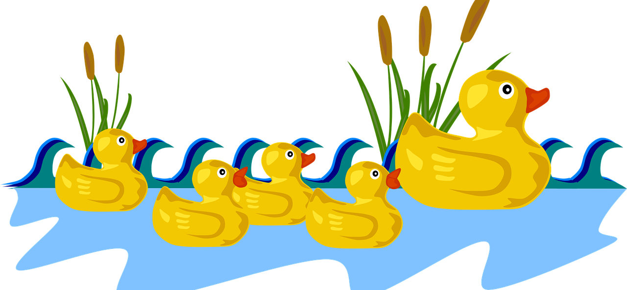 DIY Rubber Ducks