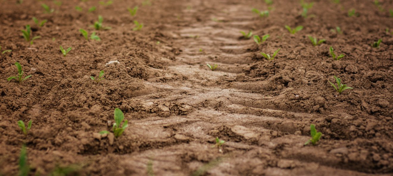 Seed Library Kick-Off