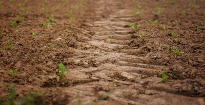 Seed Library Kick-Off